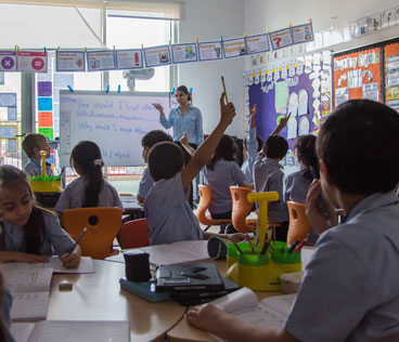 Curriculum